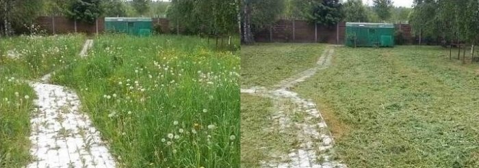 Покос травы триммером